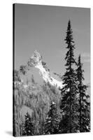 Snow-Covered Mountain, Cascade Range, Mt Rainier National Park, Washington, USA-Paul Souders-Stretched Canvas