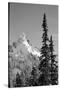 Snow-Covered Mountain, Cascade Range, Mt Rainier National Park, Washington, USA-Paul Souders-Stretched Canvas
