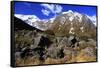 Snow Covered Mountains on the Road to Milford Sound, South Island, New Zealand-Paul Dymond-Framed Stretched Canvas