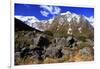 Snow Covered Mountains on the Road to Milford Sound, South Island, New Zealand-Paul Dymond-Framed Photographic Print
