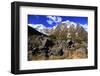 Snow Covered Mountains on the Road to Milford Sound, South Island, New Zealand-Paul Dymond-Framed Photographic Print