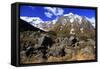 Snow Covered Mountains on the Road to Milford Sound, South Island, New Zealand-Paul Dymond-Framed Stretched Canvas