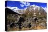 Snow Covered Mountains on the Road to Milford Sound, South Island, New Zealand-Paul Dymond-Stretched Canvas