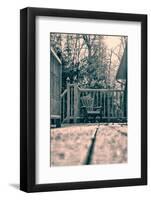 Snow Covered Muskoka Chair - Retro-SHS Photography-Framed Photographic Print