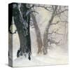 Snow Covered Oaks in the Sun-Eugen Bracht-Stretched Canvas