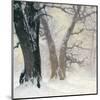 Snow Covered Oaks in the Sun-Eugen Bracht-Mounted Art Print