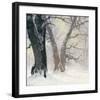 Snow Covered Oaks in the Sun-Eugen Bracht-Framed Art Print