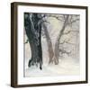 Snow Covered Oaks in the Sun-Eugen Bracht-Framed Art Print