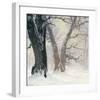 Snow Covered Oaks in the Sun-Eugen Bracht-Framed Art Print