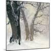 Snow Covered Oaks in the Sun-Eugen Bracht-Mounted Art Print