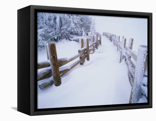 Snow-covered Path in Crater Lake National Park-Steve Terrill-Framed Stretched Canvas