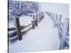 Snow-covered Path in Crater Lake National Park-Steve Terrill-Stretched Canvas