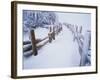 Snow-covered Path in Crater Lake National Park-Steve Terrill-Framed Photographic Print