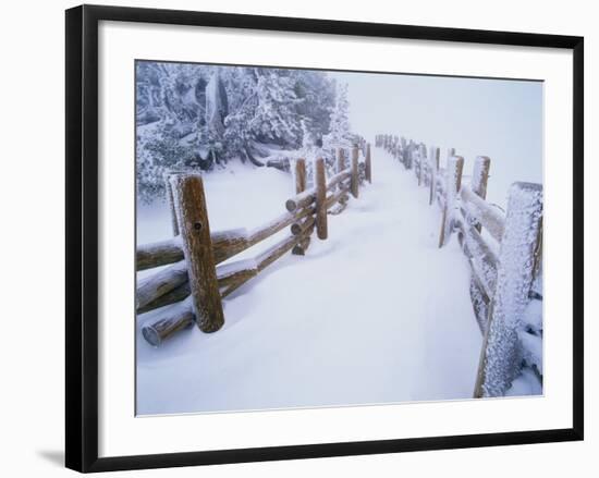 Snow-covered Path in Crater Lake National Park-Steve Terrill-Framed Photographic Print