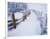 Snow-covered Path in Crater Lake National Park-Steve Terrill-Framed Photographic Print