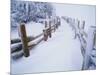 Snow-covered Path in Crater Lake National Park-Steve Terrill-Mounted Photographic Print