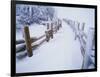 Snow-covered Path in Crater Lake National Park-Steve Terrill-Framed Photographic Print