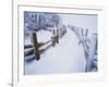 Snow-covered Path in Crater Lake National Park-Steve Terrill-Framed Photographic Print