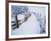 Snow-covered Path in Crater Lake National Park-Steve Terrill-Framed Photographic Print