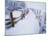 Snow-covered Path in Crater Lake National Park-Steve Terrill-Mounted Photographic Print