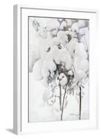 Snow-Covered Pine Saplings-Pekka Halonen-Framed Giclee Print