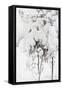 Snow-Covered Pine Saplings-Pekka Halonen-Framed Stretched Canvas