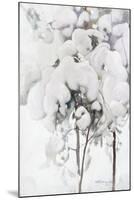 Snow-Covered Pine Saplings-Pekka Halonen-Mounted Giclee Print