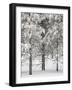 Snow-Covered Pine Trees, Bryce Canyon National Park, Utah, United States of America, North America-James Hager-Framed Photographic Print