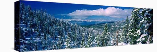 Snow Covered Pine Trees in a Forest with a Lake in the Background, Lake Tahoe, California, USA-null-Stretched Canvas