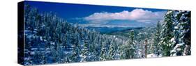 Snow Covered Pine Trees in a Forest with a Lake in the Background, Lake Tahoe, California, USA-null-Stretched Canvas