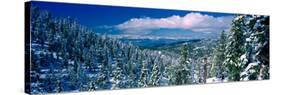 Snow Covered Pine Trees in a Forest with a Lake in the Background, Lake Tahoe, California, USA-null-Stretched Canvas