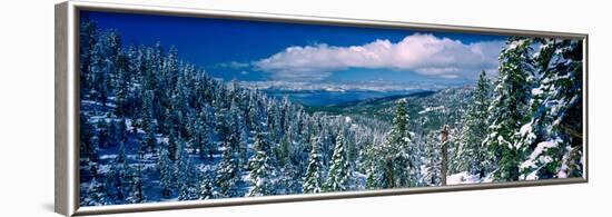 Snow Covered Pine Trees in a Forest with a Lake in the Background, Lake Tahoe, California, USA-null-Framed Photographic Print