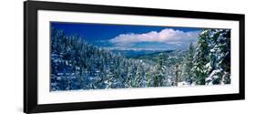 Snow Covered Pine Trees in a Forest with a Lake in the Background, Lake Tahoe, California, USA-null-Framed Photographic Print