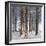 Snow Covered Pine Woodland, Morchard Wood, Morchard Bishop, Devon, England. Winter-Adam Burton-Framed Photographic Print