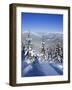 Snow Covered Pines in the Demanovska Valley, Low Tatra Mountains, Slovakia, Europe-Richard Nebesky-Framed Photographic Print