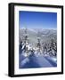 Snow Covered Pines in the Demanovska Valley, Low Tatra Mountains, Slovakia, Europe-Richard Nebesky-Framed Photographic Print