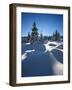 Snow-Covered Pristine Winter Landscape in the Harz National Park, Near Schierke, Germany-Andreas Vitting-Framed Photographic Print