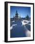 Snow-Covered Pristine Winter Landscape in the Harz National Park, Near Schierke, Germany-Andreas Vitting-Framed Photographic Print