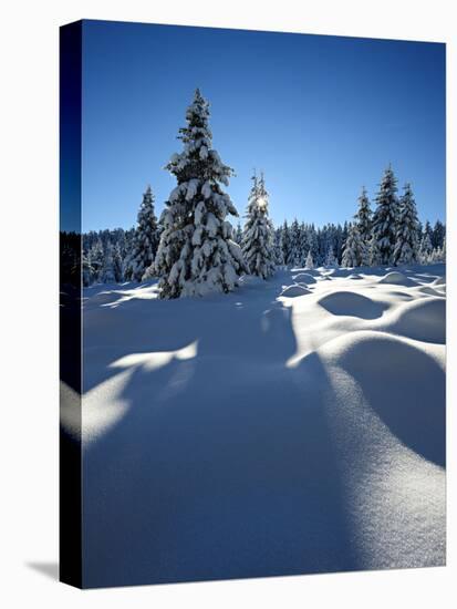 Snow-Covered Pristine Winter Landscape in the Harz National Park, Near Schierke, Germany-Andreas Vitting-Stretched Canvas