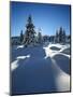 Snow-Covered Pristine Winter Landscape in the Harz National Park, Near Schierke, Germany-Andreas Vitting-Mounted Photographic Print