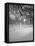 Snow Covered Promenade, Central Park-Walter Bibikow-Framed Stretched Canvas