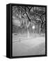 Snow Covered Promenade, Central Park-Walter Bibikow-Framed Stretched Canvas