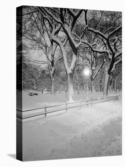 Snow Covered Promenade, Central Park-Walter Bibikow-Stretched Canvas