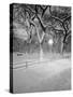 Snow Covered Promenade, Central Park-Walter Bibikow-Stretched Canvas