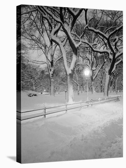 Snow Covered Promenade, Central Park-Walter Bibikow-Stretched Canvas