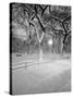 Snow Covered Promenade, Central Park-Walter Bibikow-Stretched Canvas