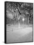 Snow Covered Promenade, Central Park-Walter Bibikow-Framed Stretched Canvas