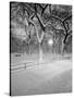 Snow Covered Promenade, Central Park-Walter Bibikow-Stretched Canvas