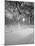 Snow Covered Promenade, Central Park-Walter Bibikow-Mounted Premium Photographic Print