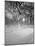 Snow Covered Promenade, Central Park-Walter Bibikow-Mounted Photographic Print